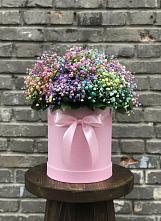 Цветочная композиция из Гипсофила и Розы в шляпной коробке в Преображенском Ставропольского края