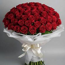 Букет 101 Красная роза Блэк Мэджик в Преображенском Ставропольского края