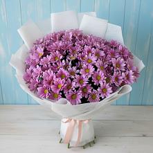 Букет цветов из:  Хризантемы в Преображенском Ставропольского края