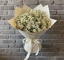 Букет цветов из:  Ромашки в Преображенском Ставропольского края