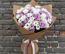 Букет цветов из:  Хризантемы #REPLACE_PRED# Преображенском Ставропольского края