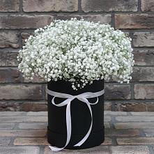 Цветочная композиция из Гипсофила в шляпной коробке в Преображенском Ставропольского края