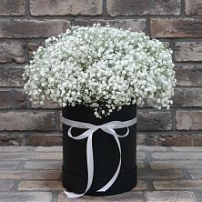 Цветочная композиция из Гипсофила в шляпной коробке в Преображенском Ставропольского края