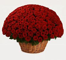 Премиум букет из: Розы в Преображенском Ставропольского края
